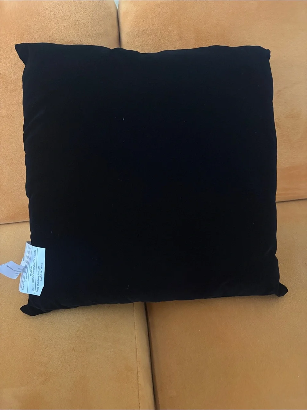 Disney Alice in Wonderland Throw Pillow black